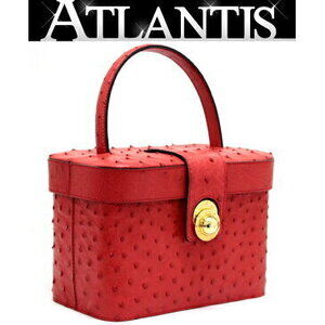 Celine Vanity Bag Red Ostrich